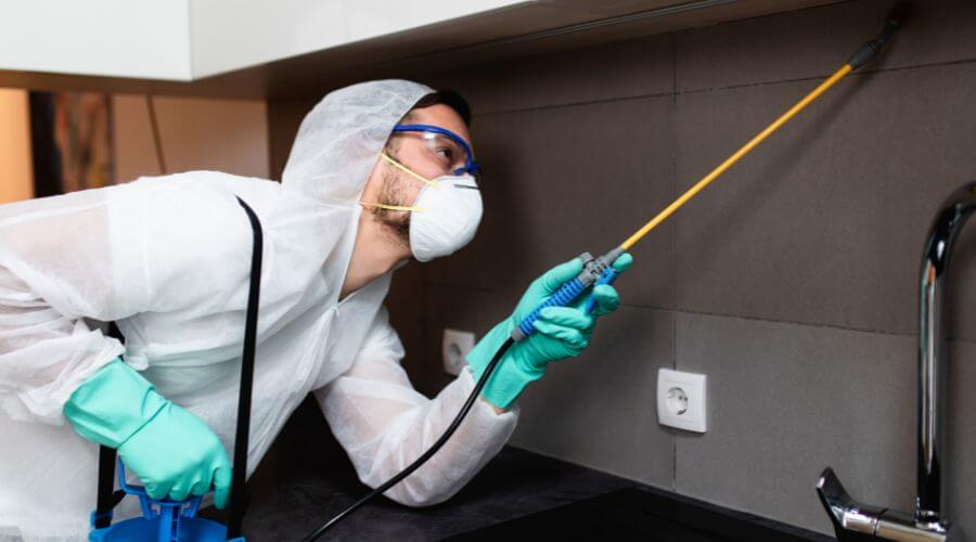 Why choose Termite Treatment Broken Arrow for termite treatment in Broken Arrow